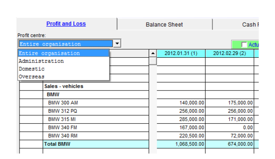 screenshot of Visual Cash Focus